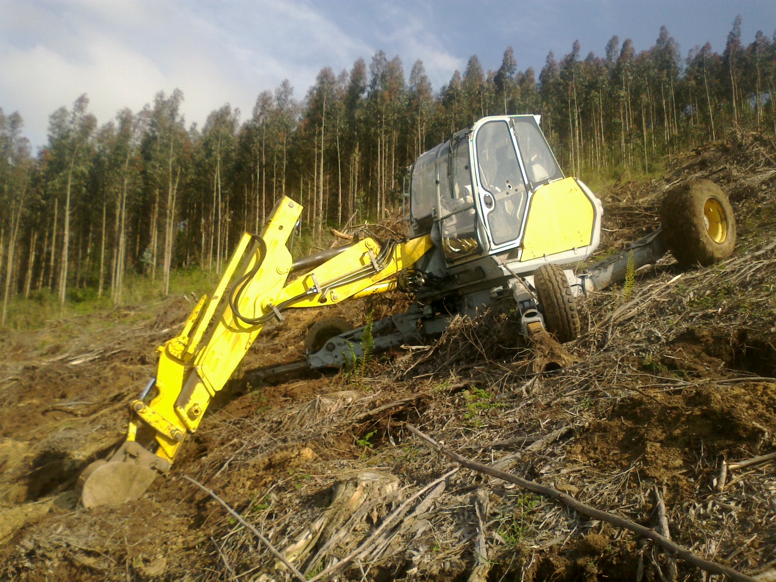 retroaraña trabajando en bosque