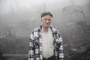 Proyecto de reforestación en Galicia