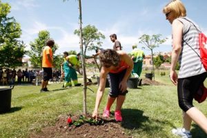 Reforestación en Zamora: una plantación de árboles en Valorio
