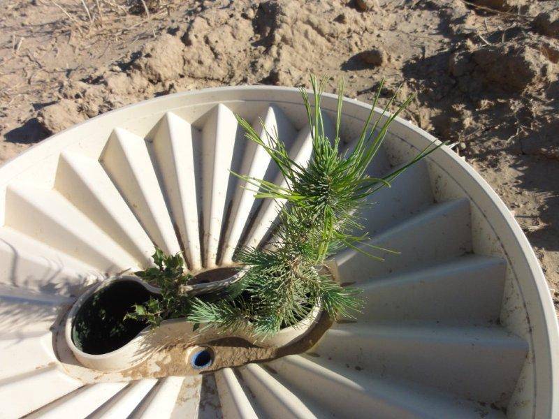 reforestacion monegros groasis waterboxx