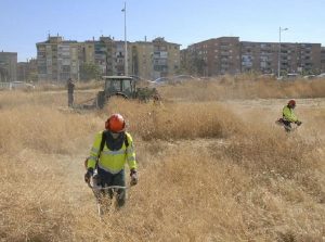 Desbroce de parcelas en Logroño - Reforestaciones Pastor