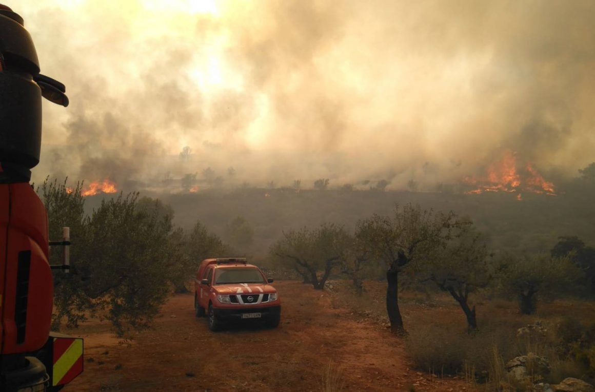 incendio en valencia, municipio de Llutxent