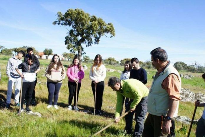 reforestación de montes Plantabosques