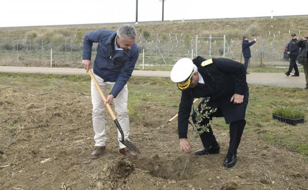 reforestación en Valladolid de campos de tiro