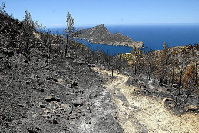 gestión post incendio andtrax baleares