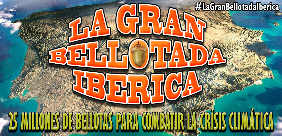 la gran bellotada ibérica