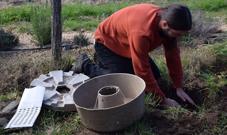 reforestar con donuts