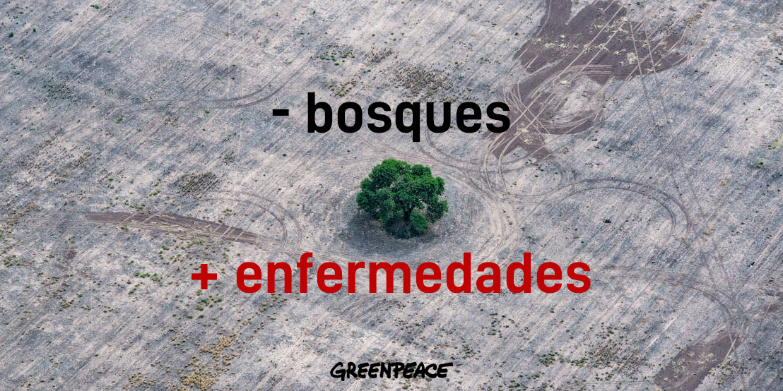 coronavirus greenpeace