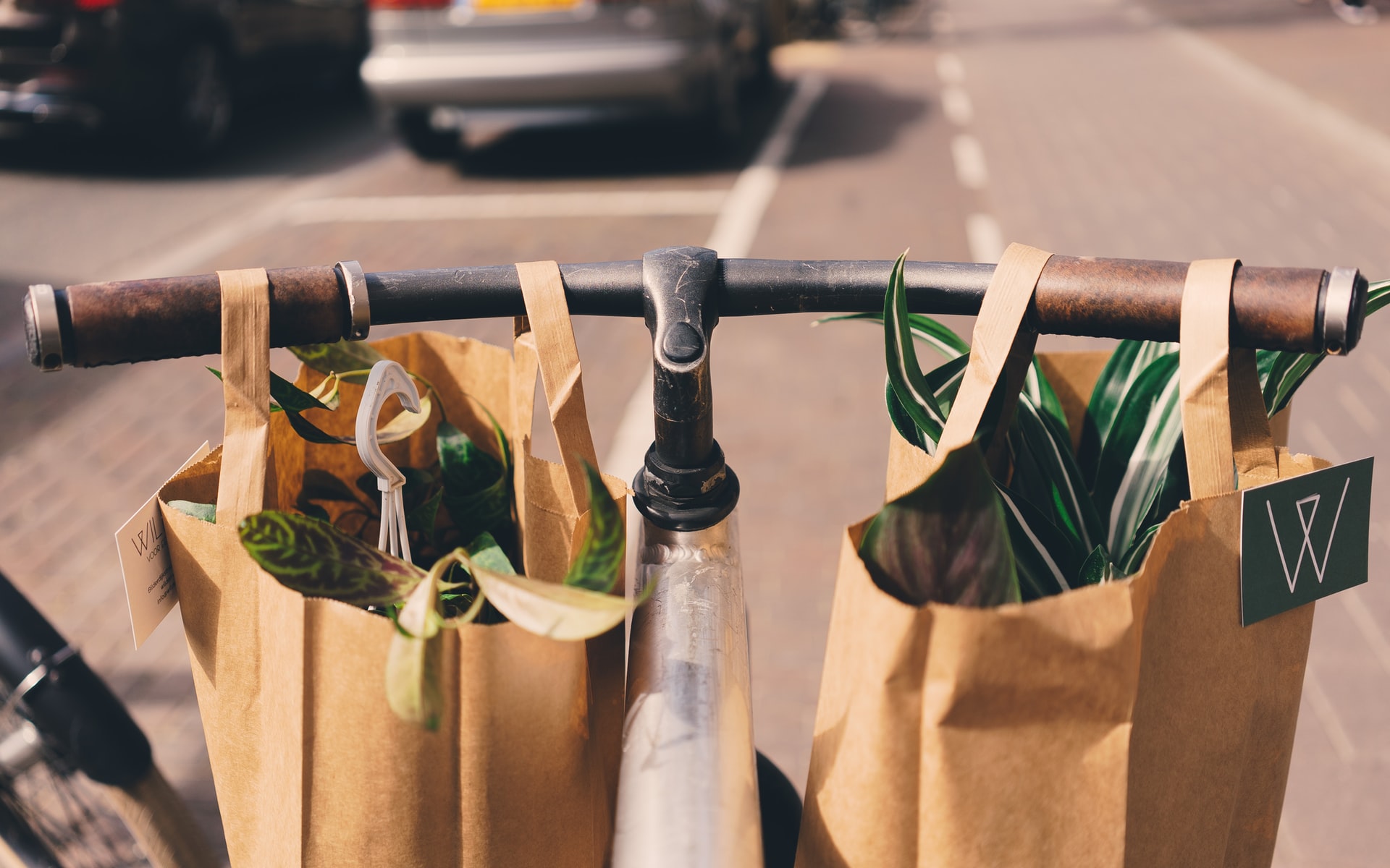 las bolsas de papel son buenas para el medio ambiente sostenibilidad