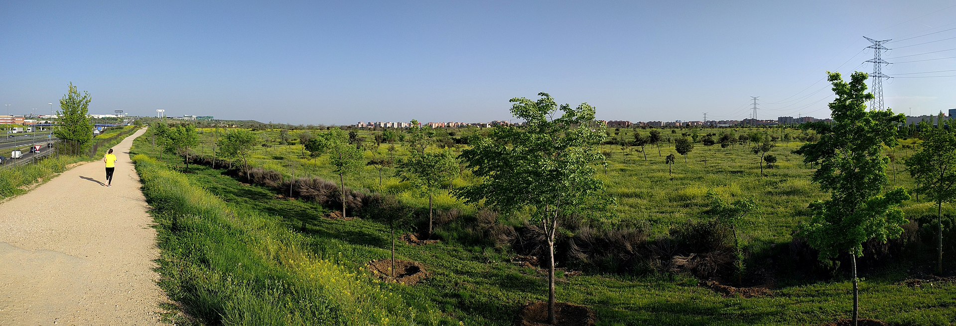 qué es un cinturón verde - bosque del sur