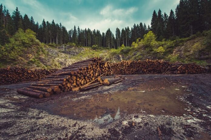 no te comas el bosque - campaña europea